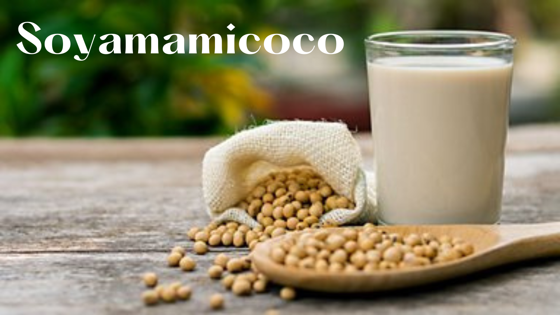 Soyamamicoco