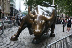 Read more about the article Bull Market: Riding the Upswing in the Stock Market