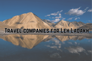 Read more about the article Top 5 Travel Companies for Leh Ladakh: Best Packages & Tours 