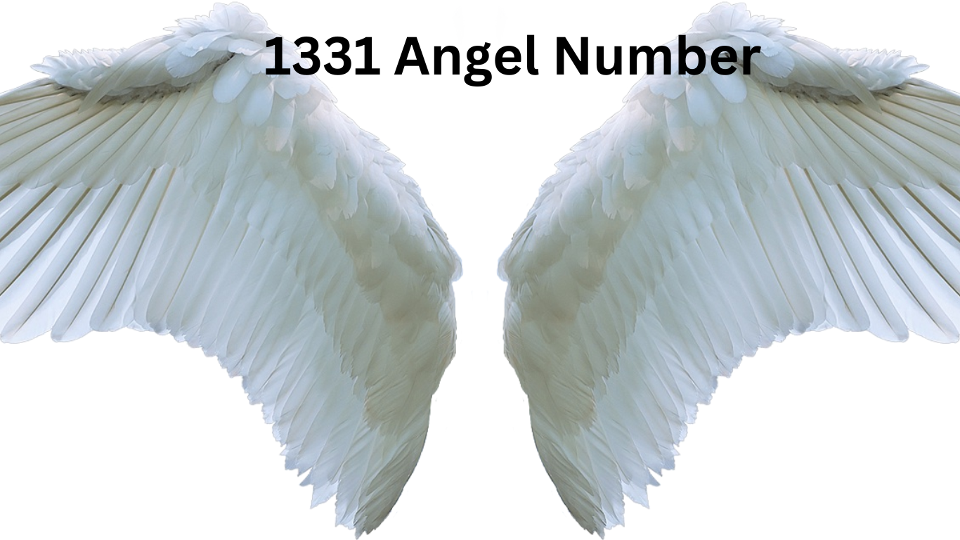 1331 Angel Number