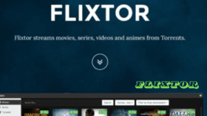 Read more about the article The Guide to Flixtor: Everything You Need to Know