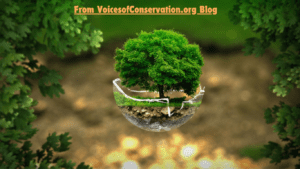 Read more about the article From VoicesofConservation.org Blog: Understanding Conservation and Environmental Advocacy