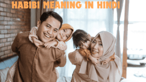 Read more about the article Habibi Meaning in Hindi: An In-Depth Exploration