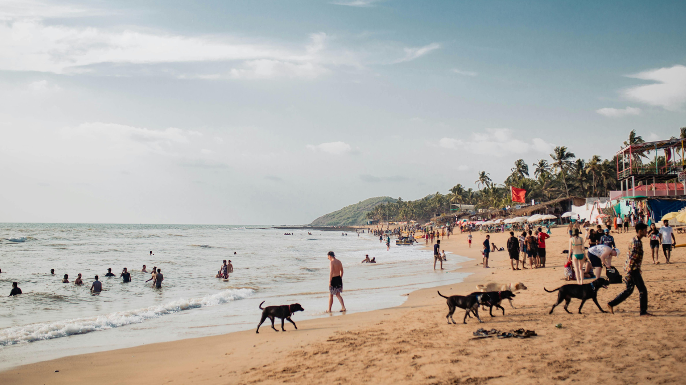 Banana Ride Goa