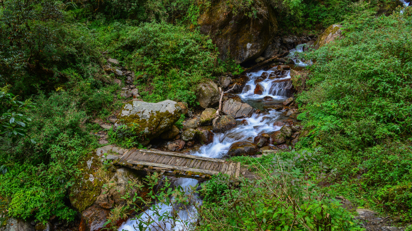 Dudhsagar Waterfall Trek