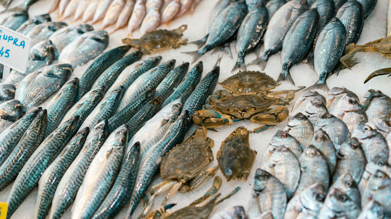 Ramnagar Fish Market