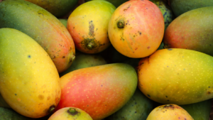 Read more about the article The Sweet Journey of the Amrapali Mango