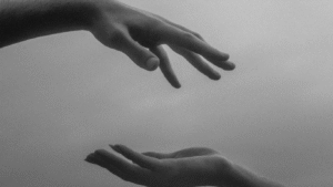 Read more about the article Unlocking Welfare Schemes with the Bhadravision.com Beneficiary Outreach App