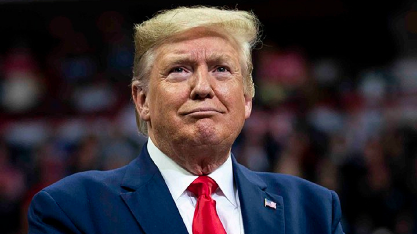 Trump Organization Fraud Cases