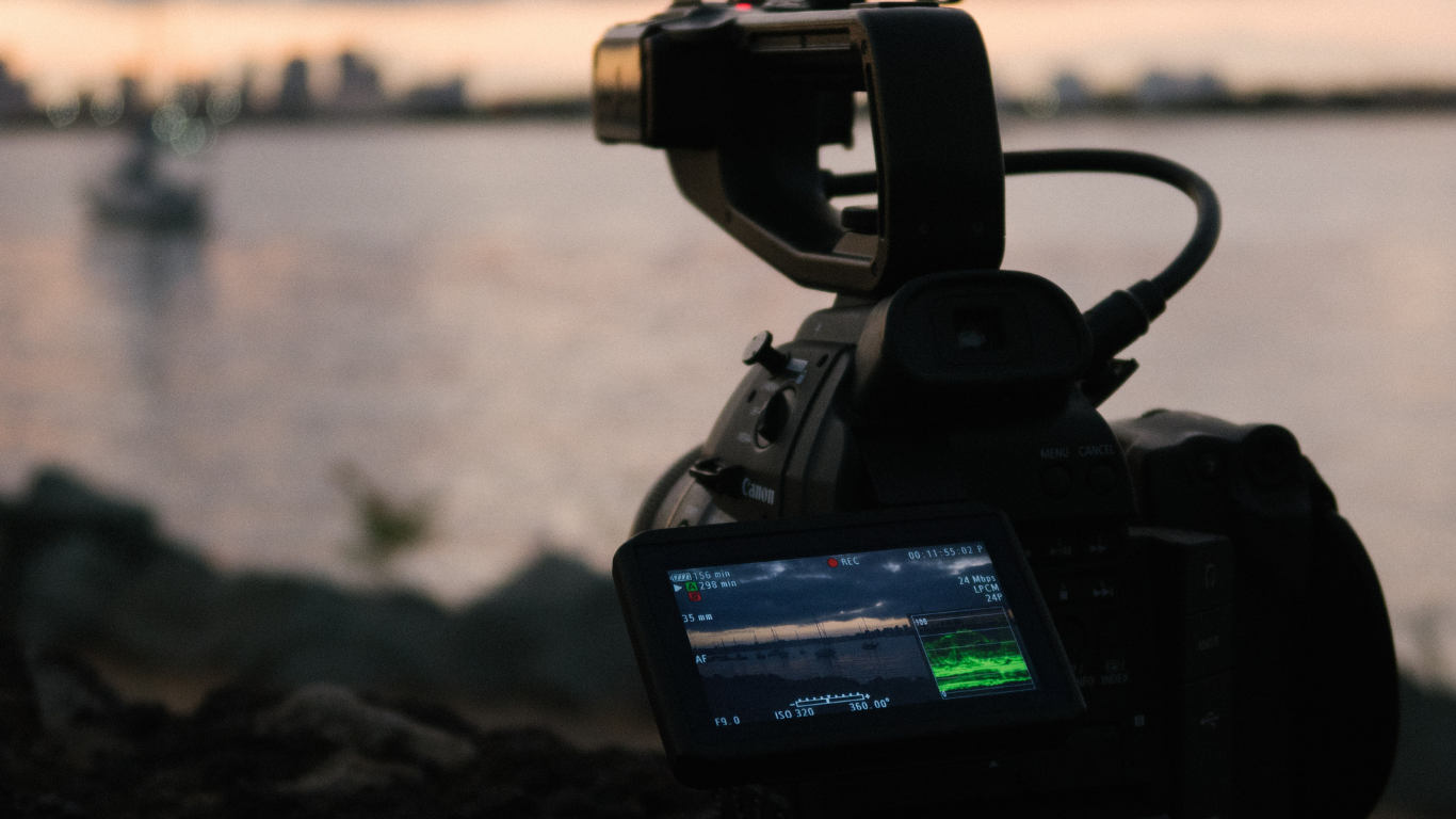 MalluMV DVDPlay Competitors 2025