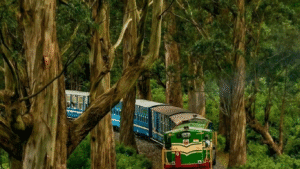Neral to Matheran Toy Train Booking 2025